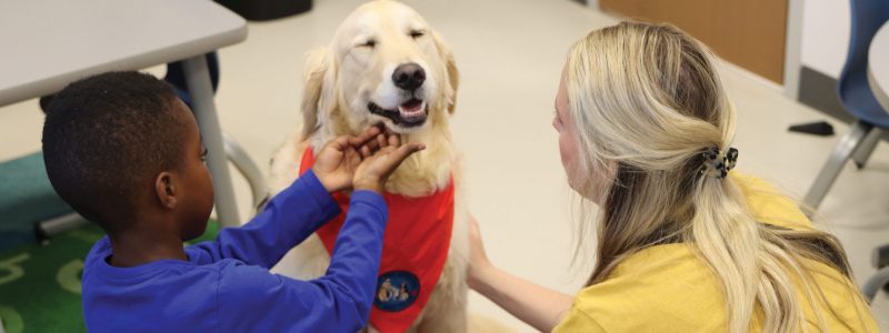 Meet Georgia: PT Welcomes New Therapy Dog